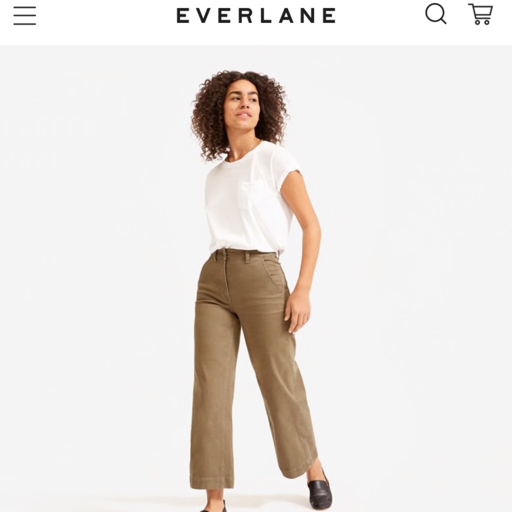 Everlane Wide Leg Crop Pant